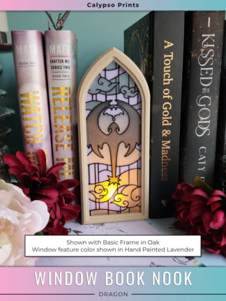 Window Book Nook - Dragon